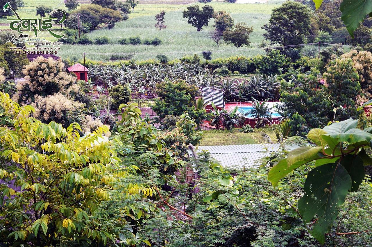 Deorai Farms And Agro Resort Pune Exteriör bild